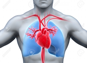 Tăng huyết áp là con đường ngắn nhất dẫn đến suy tim